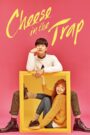 Cheese in the Trap (END)